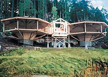 Post and Beam Octagon Home Building on a Double Pedestal